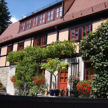 Villa Winzerhaus Rissweg 15 Dresden Exterior foto